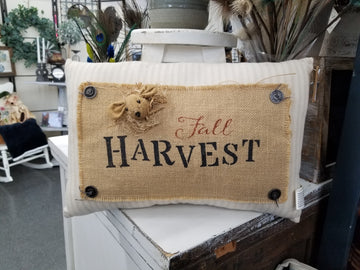 Fall Harvest Pillow