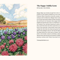 A Little Book of Flowers: Dahlias