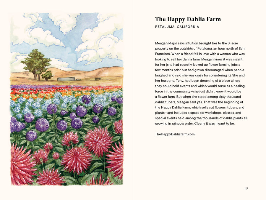 A Little Book of Flowers: Dahlias