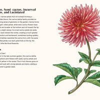 A Little Book of Flowers: Dahlias