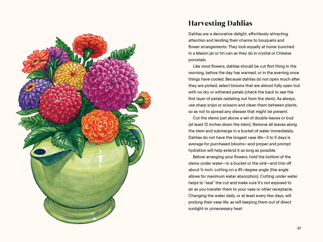 A Little Book of Flowers: Dahlias