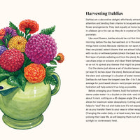 A Little Book of Flowers: Dahlias