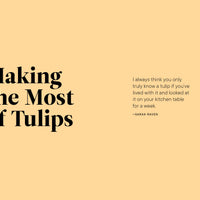 A Little Book of Flowers: Tulips