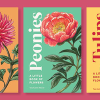 A Little Book of Flowers: Dahlias