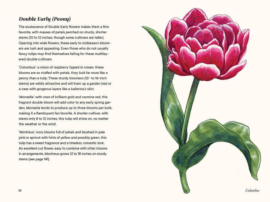 A Little Book of Flowers: Tulips