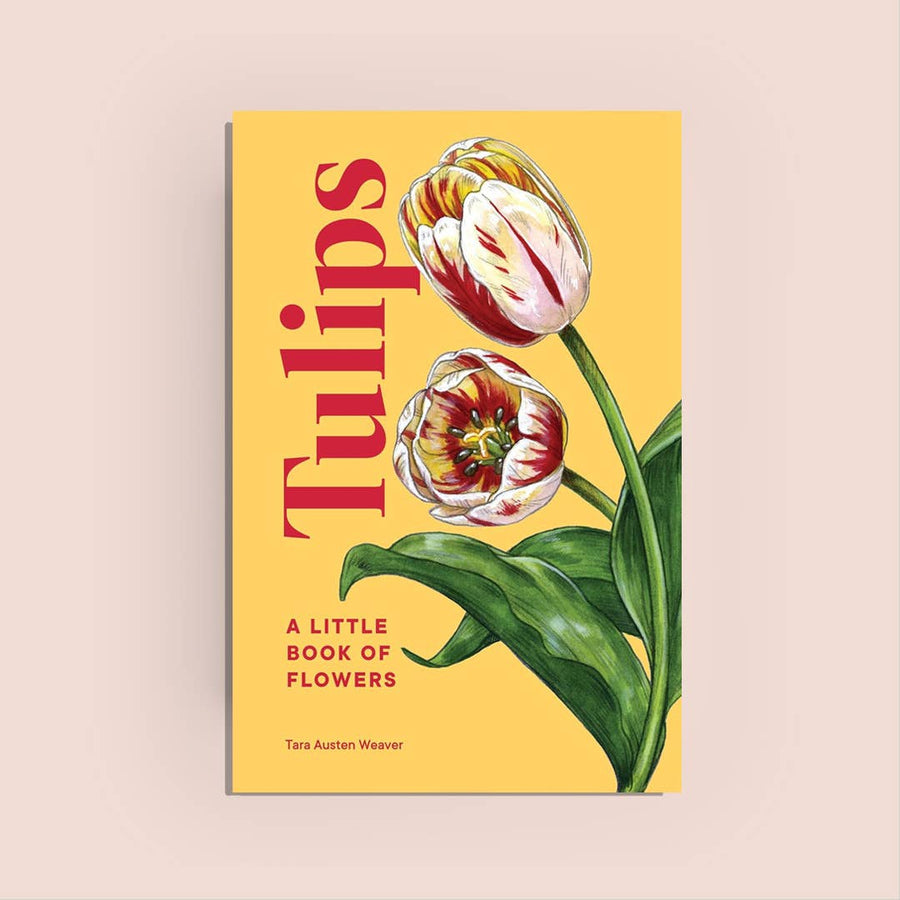 A Little Book of Flowers: Tulips