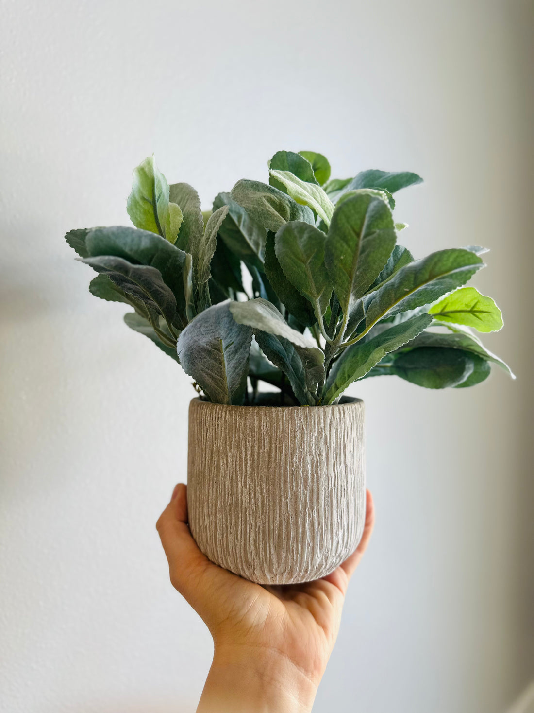 Key Lime Faux Planter