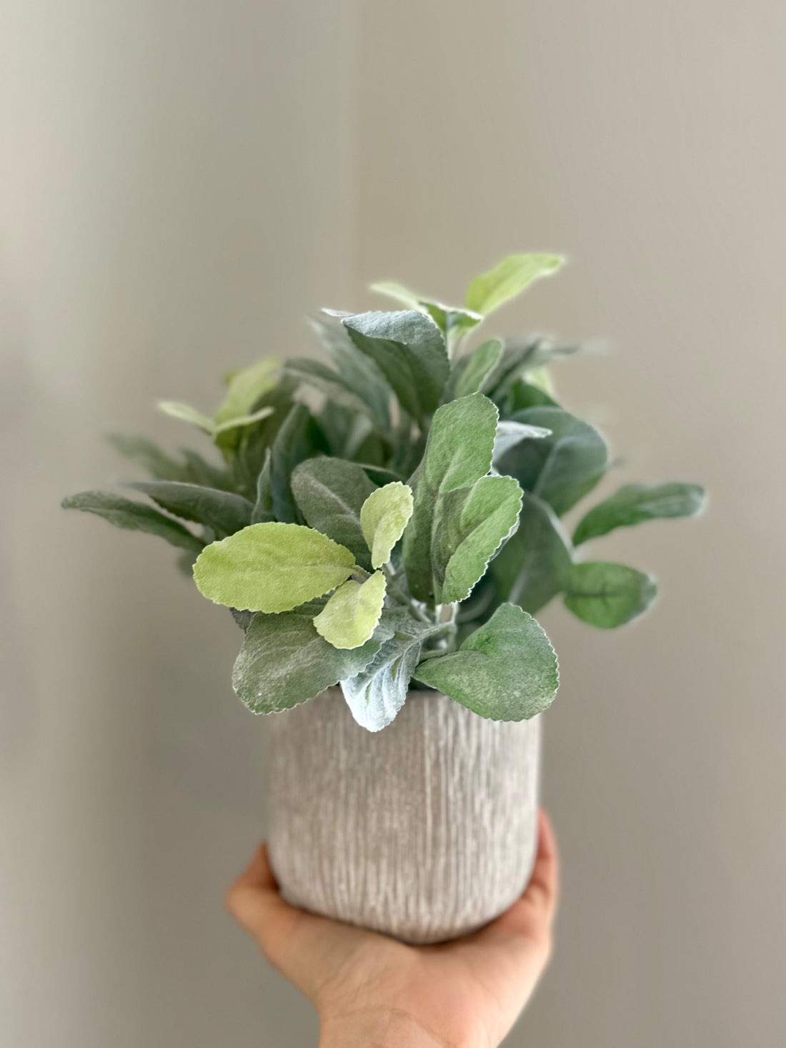 Key Lime Faux Planter