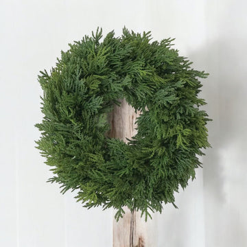 Green Cedar Wreath - 12in