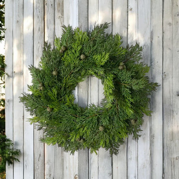 Cypress and Berry Wreath - 19in