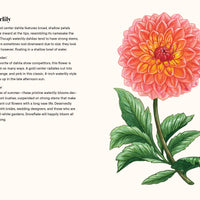 A Little Book of Flowers: Dahlias