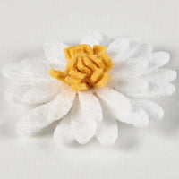 Daisy Magnet Set