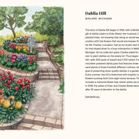 A Little Book of Flowers: Dahlias