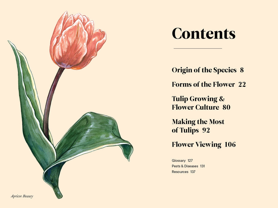 A Little Book of Flowers: Tulips