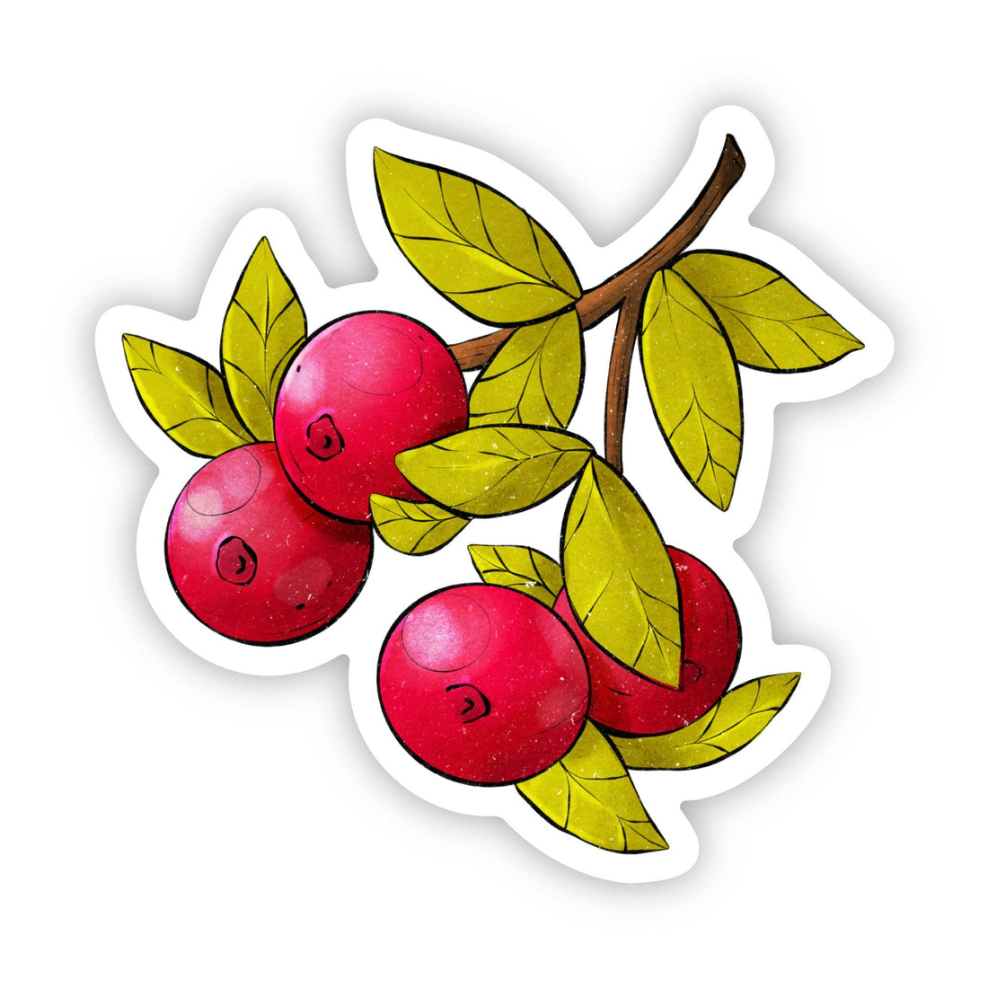 Wisconsin Cranberries Sticker