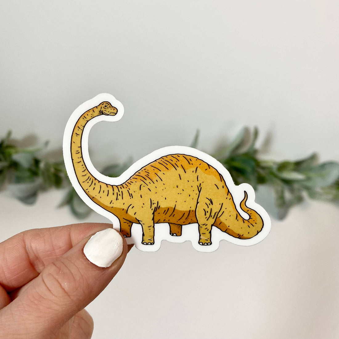 Brontosaurus Dinosaur Sticker