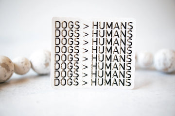 Dogs>Humans Leopard Clear Vinyl Sticker