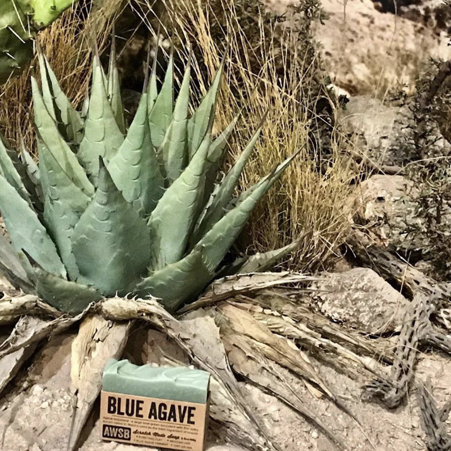 Blue Agave Soap