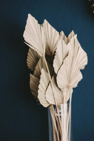 Dried Palm Leaf Spear - Natural