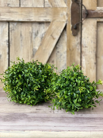 Boxwood Round Topiary